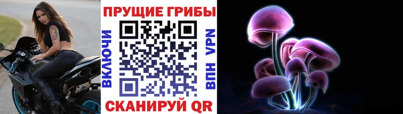 блэк спрут ТОР  Кочубеевское  Псилоцибиновые грибы прущие грибы 